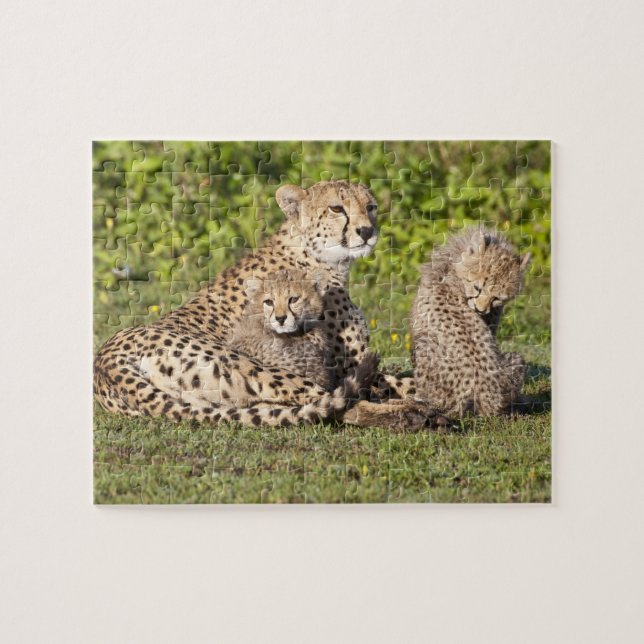 Afrika. Tanzania. Cheetah mor och unge 2 Pussel (Horisontell)