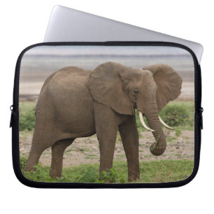 Afrika. Tanzania. Elefant vid Lake Manyara NP. Laptop Fodral