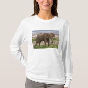 Afrika. Tanzania. Elefant vid Lake Manyara NP. T-shirt