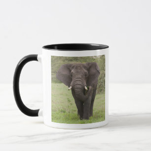 Afrika Tanzania Elefant vid Ngorongoro-kratern Mugg