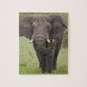Afrika Tanzania Elefant vid Ngorongoro-kratern Pussel