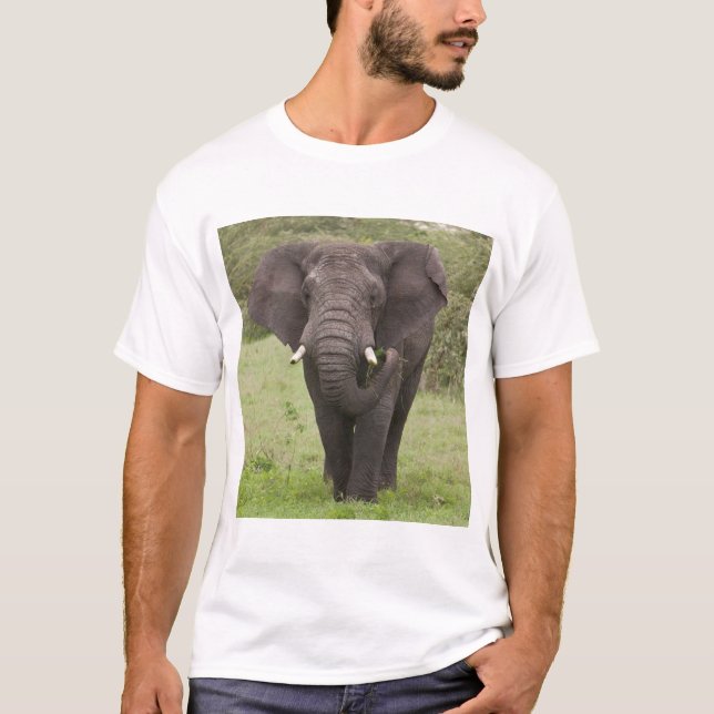 Afrika Tanzania Elefant vid Ngorongoro-kratern Tröja (Framsida)