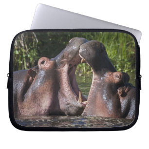 Afrika. Tanzania. Flodhäst som boxas Laptop Sleeve