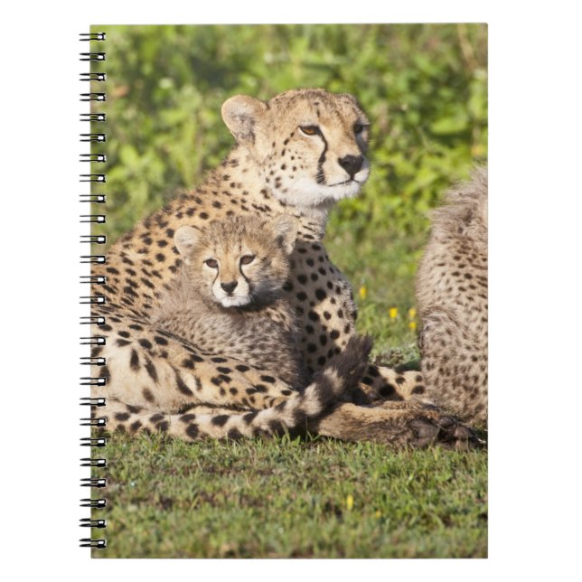 Afrika. Tanzania. Gepardmoder och ungar 2 Anteckningsbok (Framsidan)