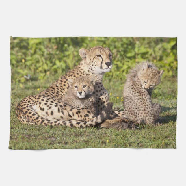 Afrika. Tanzania. Gepardmor och ungar 2 Kökshandduk (Horisontell)