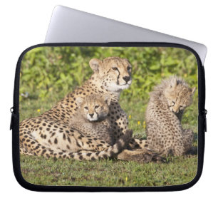 Afrika. Tanzania. Gepardmor och ungar 2 Laptop Sleeve