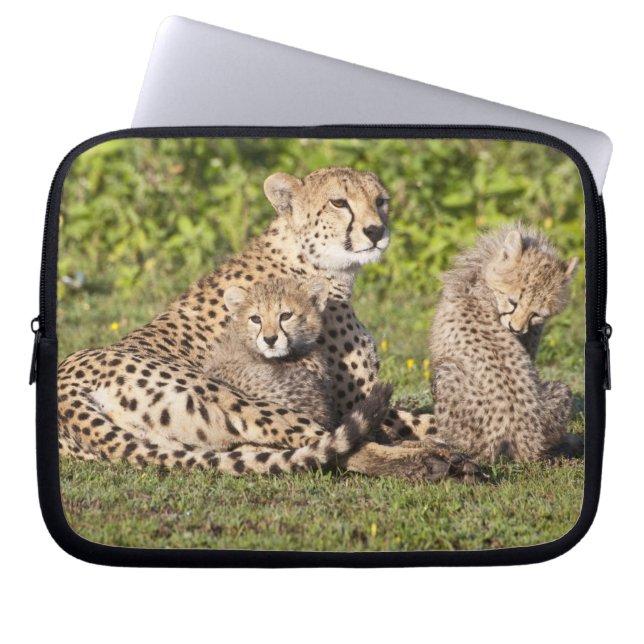 Afrika. Tanzania. Gepardmor och ungar 2 Laptop Sleeve (Framsidan)