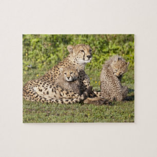 Afrika. Tanzania. Gepardmor och ungar 2 Pussel