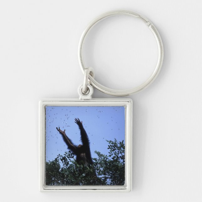 Afrika, Tanzania, Glitter sträcker sig efter flyga Fyrkantig Silverfärgad Nyckelring (Framsidan)