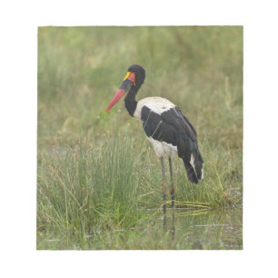 Afrika. Tanzania. Hane Sadelstork Anteckningsblock