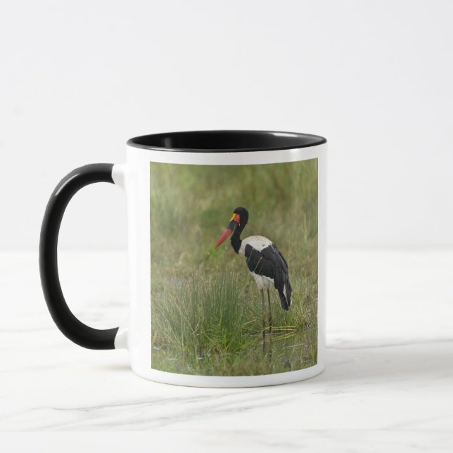 Afrika. Tanzania. Hane Sadelstork Mugg (Vänster)