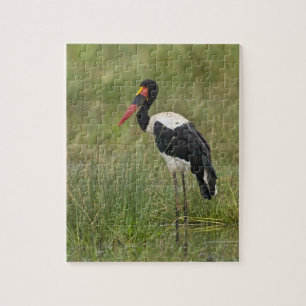 Afrika. Tanzania. Hane Sadelstork Pussel
