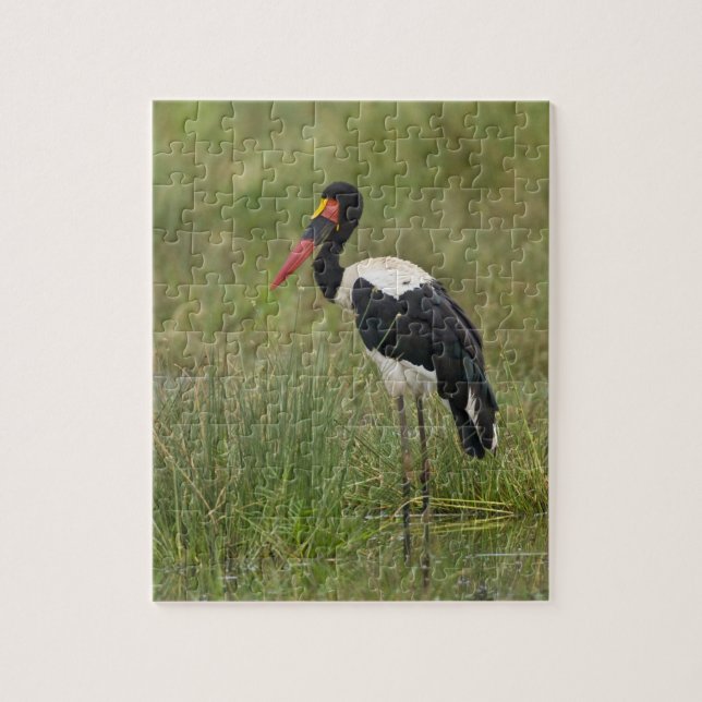 Afrika. Tanzania. Hane Sadelstork Pussel (Vertikal)