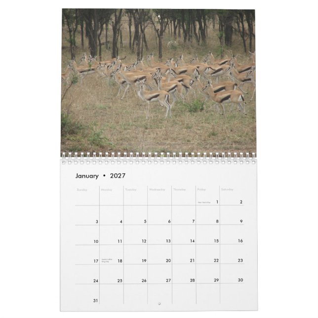 Afrika: Tanzania & Kenya Kalender (Jan 2027)