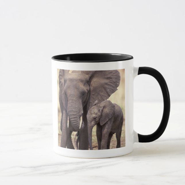 Afrika, Tanzania, nationalparken Tarangire. 2 Mugg (Höger)
