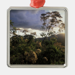 Afrika, Tanzania, Ngorongoro Conservation Area, Julgransprydnad Metall