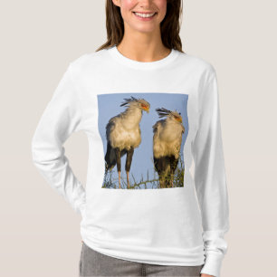 Afrika. Tanzania. Sekretärsfåglar vid Ndutu T Shirt