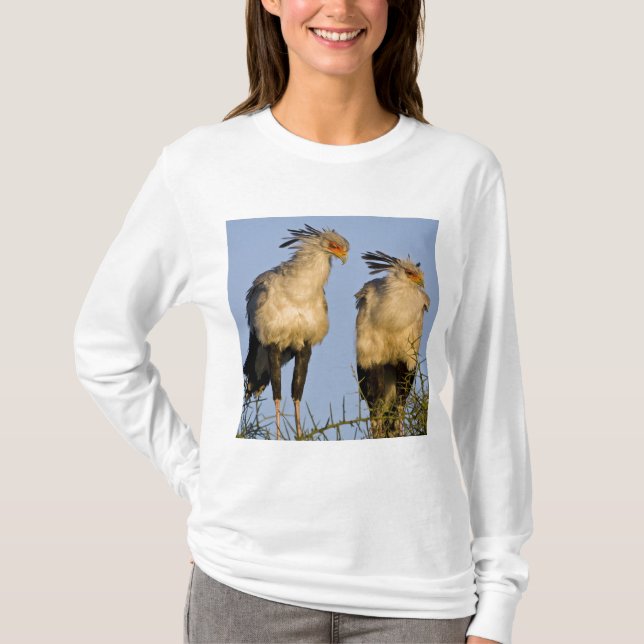 Afrika. Tanzania. Sekretärsfåglar vid Ndutu T Shirt (Framsida)