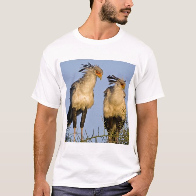 Afrika. Tanzania. Sekretärsfåglar vid Ndutu T-shirt (Framsida)