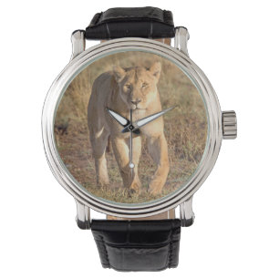 Afrika, Tanzania, Serengeti. Lejon och lejoninna Armbandsur