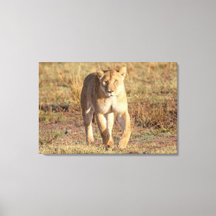 Afrika, Tanzania, Serengeti. Lejon och lejoninna Canvastryck