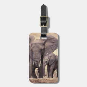 Afrika, Tanzania, Tarangire nationalpark. 2 Bagagebricka