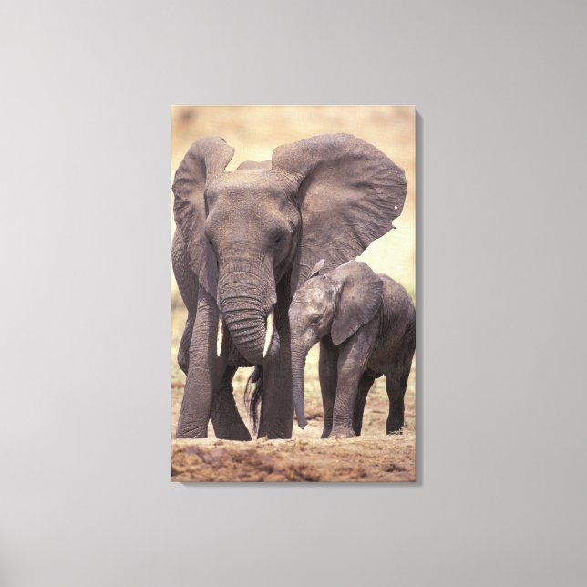 Afrika, Tanzania, Tarangire nationalpark. 2 Canvastryck (Framsida)