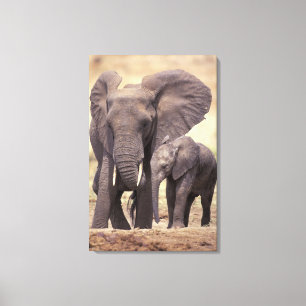 Afrika, Tanzania, Tarangire nationalpark. 2 Canvastryck