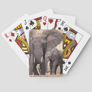 Afrika, Tanzania, Tarangire nationalpark. 2 Casinokort