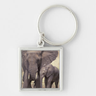 Afrika, Tanzania, Tarangire nationalpark. 2 Fyrkantig Silverfärgad Nyckelring