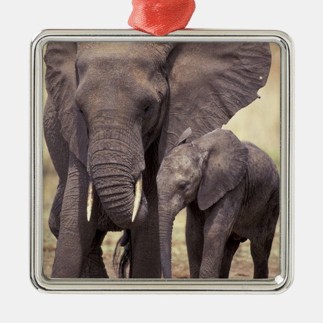 Afrika, Tanzania, Tarangire nationalpark. 2 Julgransprydnad Metall (Framsidan)