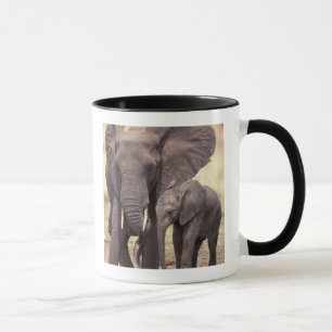Afrika, Tanzania, Tarangire nationalpark. 2 Mugg