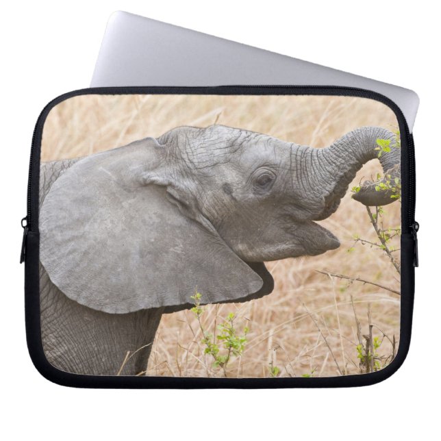 Afrika. Tanzania. Ung Elefant vid Tarangire Laptop Sleeve (Framsidan)