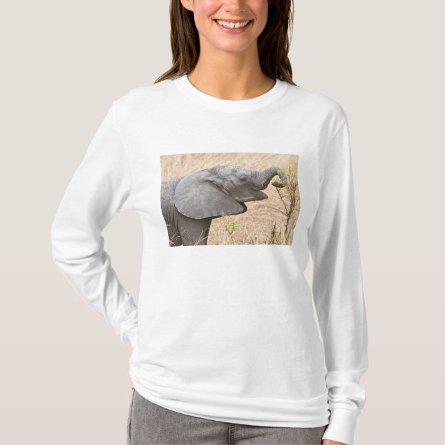 Afrika. Tanzania. Ung elefant vid Tarangire T-shirt (Framsida)