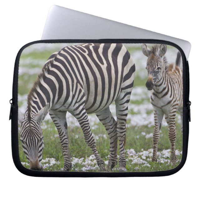 Afrika. Tanzania. Zebra mamma och föl Laptop Sleeve (Framsidan)