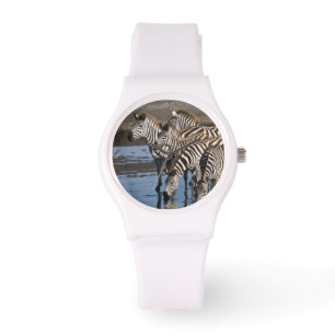 Afrika. Tanzania. Zebror dricker vid Ndutu Armbandsur