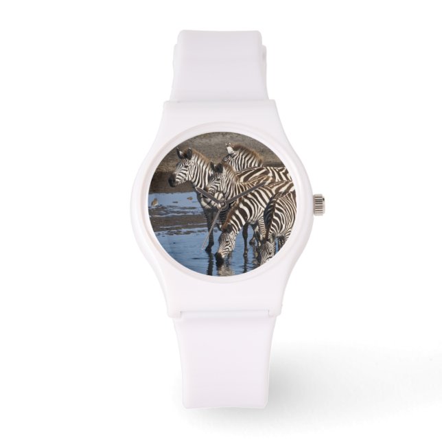 Afrika. Tanzania. Zebror dricker vid Ndutu Armbandsur (Framsida)