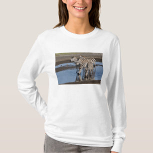 Afrika. Tanzania. Zebror dricker vid Ndutu T Shirt