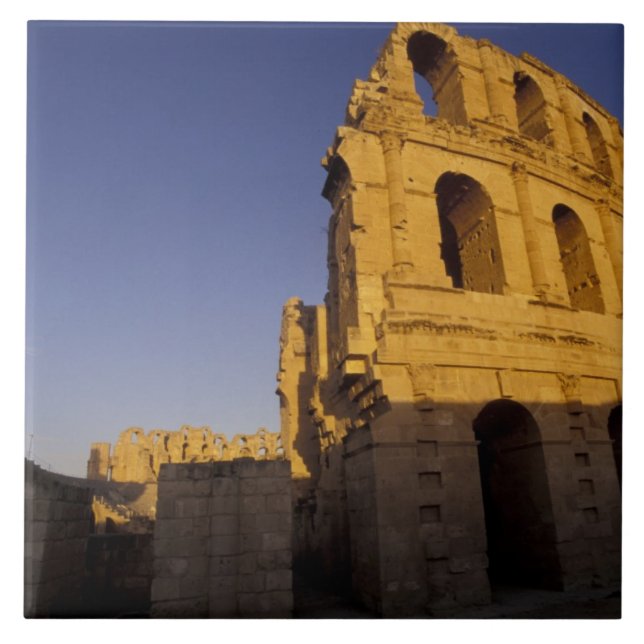 Afrika, Tunisien, El Jem. Ruiner av en romersk Kakelplatta (Framsidan)