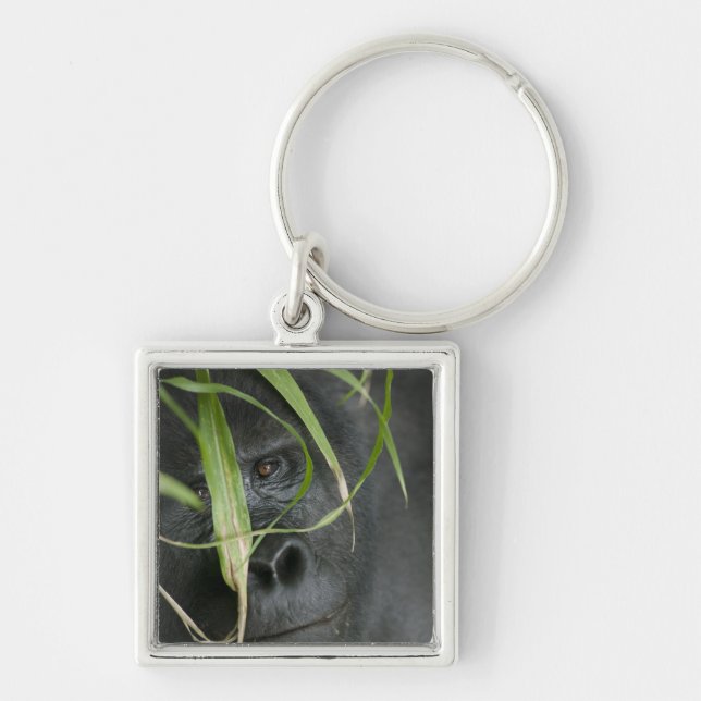 Afrika, Uganda, Bwindi Fyrkantig Silverfärgad Nyckelring (Framsidan)