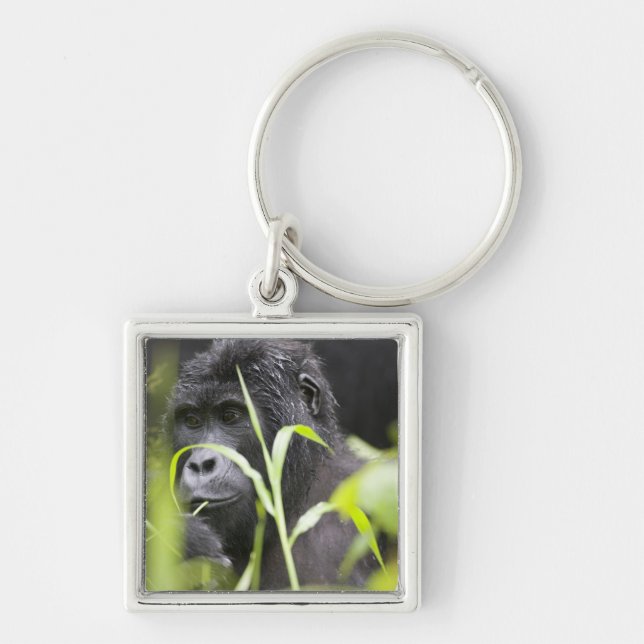 Afrika Uganda, Bwindi Fyrkantig Silverfärgad Nyckelring (Framsidan)