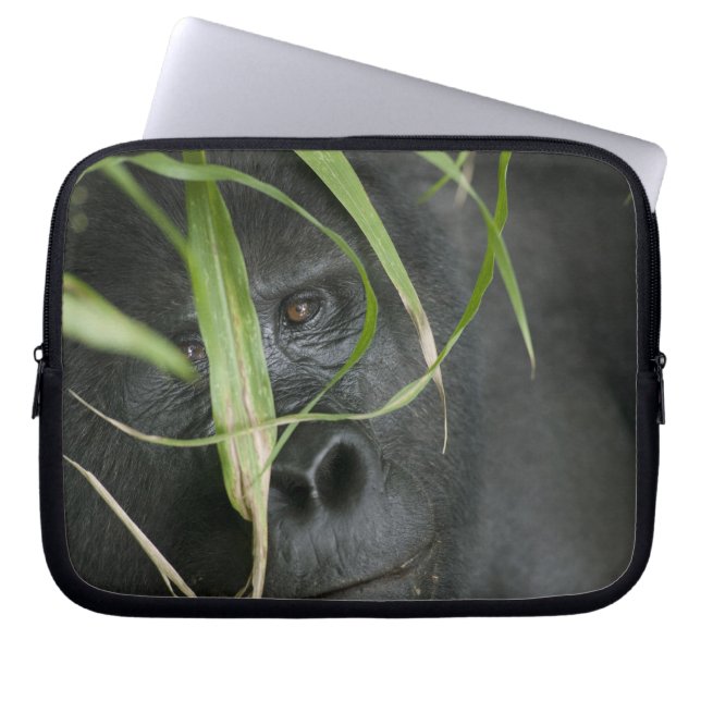 Afrika, Uganda, Bwindi Laptop Sleeve (Framsidan)