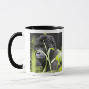 Afrika Uganda, Bwindi Mugg