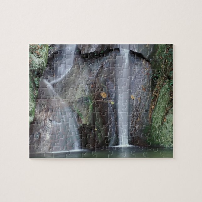 Afrika, Uganda, Bwindi ogenomträngliga regnskog, Pussel (Horisontell)