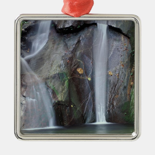 Afrika, Uganda, Bwindi ogenomträngliga regnskogen, Julgransprydnad Metall (Framsidan)