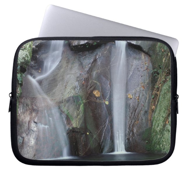 Afrika, Uganda, Bwindi ogenomträngliga regnskogen, Laptop Sleeve (Framsidan)