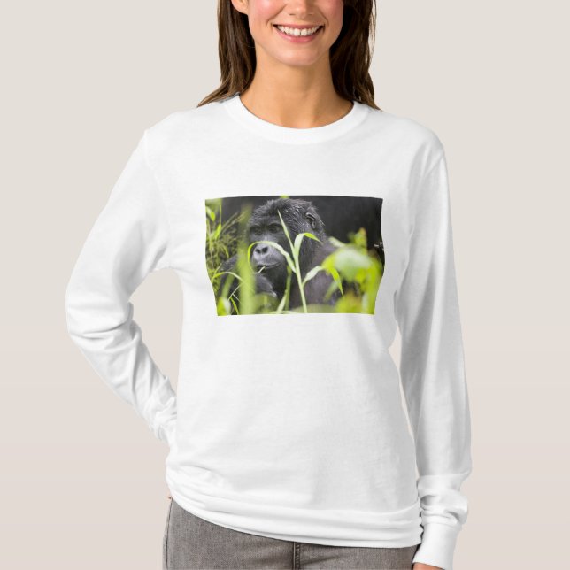 Afrika Uganda, Bwindi T Shirt (Framsida)