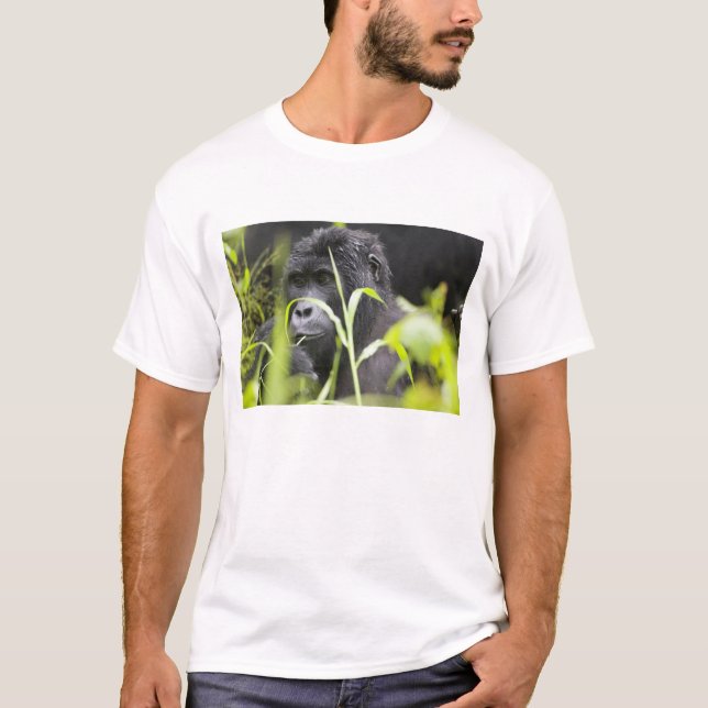 Afrika Uganda, Bwindi T Shirt (Framsida)