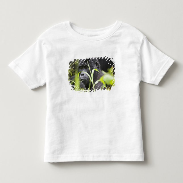 Afrika Uganda, Bwindi Tee (Framsida)
