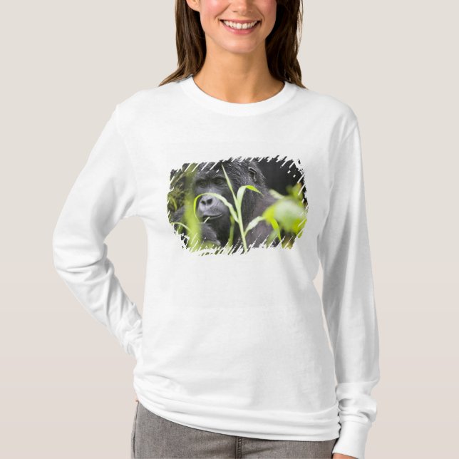Afrika Uganda, Bwindi Tee Shirt (Framsida)
